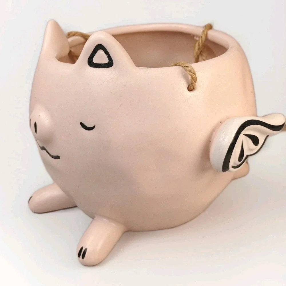 Pottery Pink Flying Ping Planter Pot Succulent Plant Small 3.5